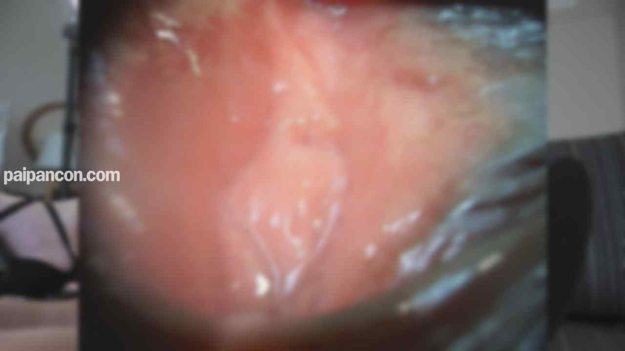 FC2-PPV-4786157 - ※2月特価→297pt【無】某夢の国のダンサーが魅せるエロメスの色気。今回も膣奥に大量射精！！綺麗で高嶺の花の美女が電マを当てたら気持ち良すぎて. thumbnail_4.jpg